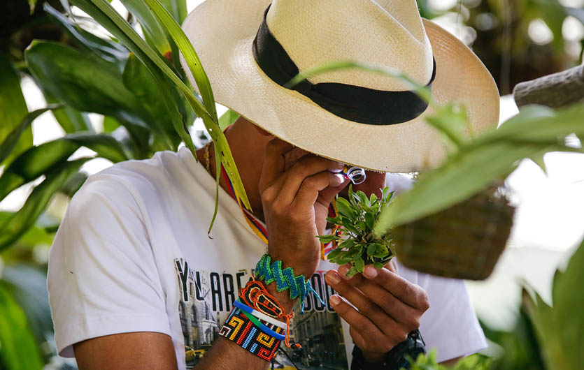 Orchideen entdecken Finca Romelia Kolumbien