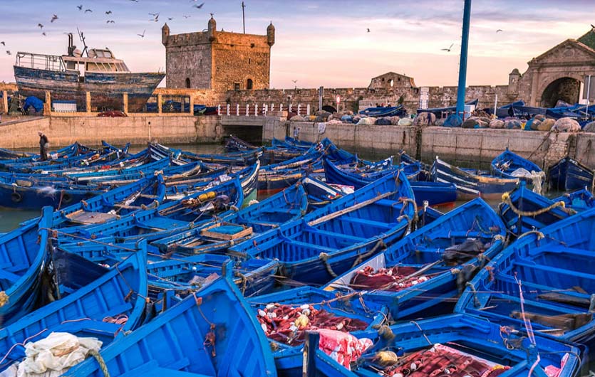 Fischerhafen in Essaouria Marokko